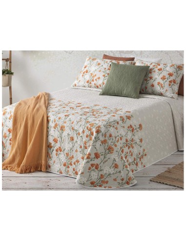 Bouti Manterol Provenza